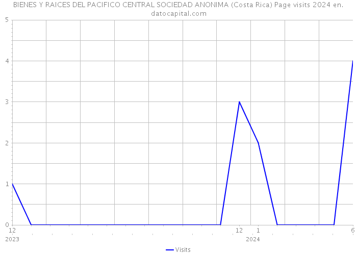 BIENES Y RAICES DEL PACIFICO CENTRAL SOCIEDAD ANONIMA (Costa Rica) Page visits 2024 