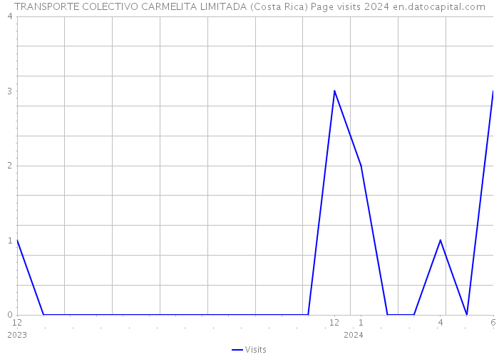 TRANSPORTE COLECTIVO CARMELITA LIMITADA (Costa Rica) Page visits 2024 