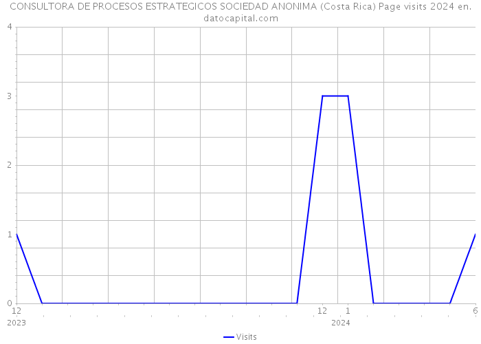 CONSULTORA DE PROCESOS ESTRATEGICOS SOCIEDAD ANONIMA (Costa Rica) Page visits 2024 