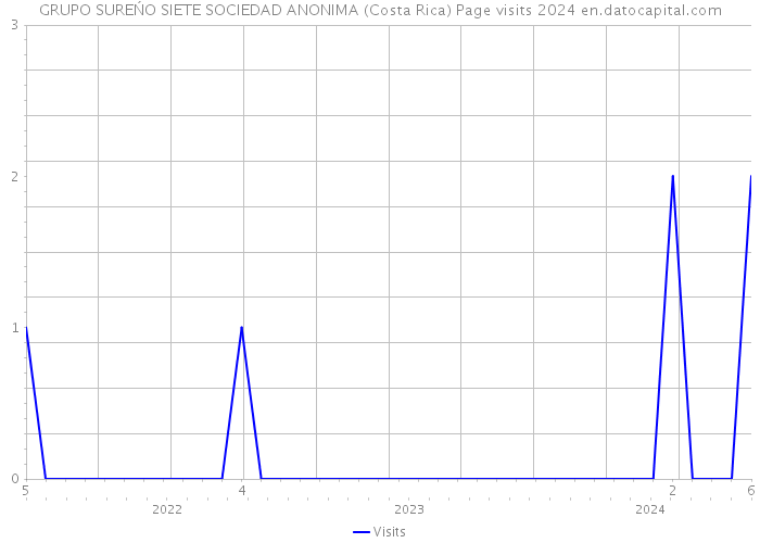 GRUPO SUREŃO SIETE SOCIEDAD ANONIMA (Costa Rica) Page visits 2024 