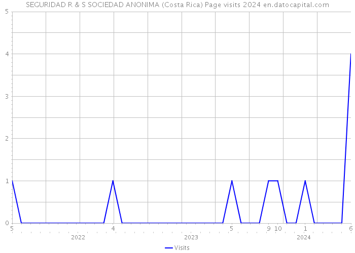 SEGURIDAD R & S SOCIEDAD ANONIMA (Costa Rica) Page visits 2024 