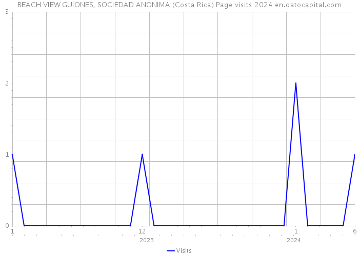 BEACH VIEW GUIONES, SOCIEDAD ANONIMA (Costa Rica) Page visits 2024 