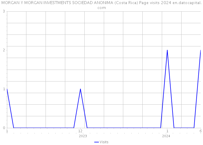 MORGAN Y MORGAN INVESTMENTS SOCIEDAD ANONIMA (Costa Rica) Page visits 2024 
