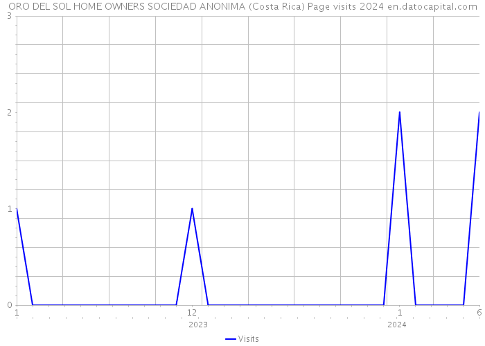 ORO DEL SOL HOME OWNERS SOCIEDAD ANONIMA (Costa Rica) Page visits 2024 