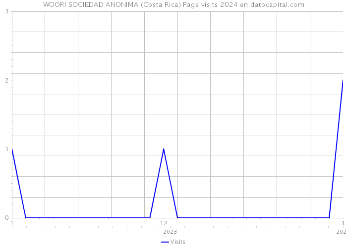 WOORI SOCIEDAD ANONIMA (Costa Rica) Page visits 2024 