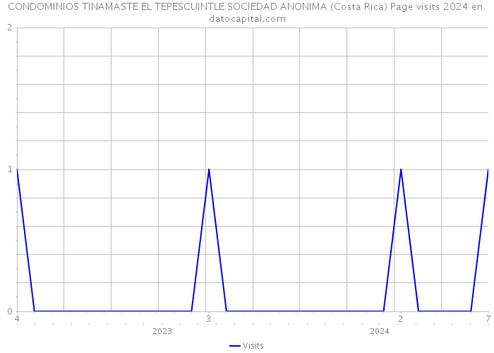 CONDOMINIOS TINAMASTE EL TEPESCUINTLE SOCIEDAD ANONIMA (Costa Rica) Page visits 2024 