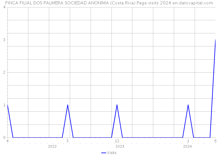 FINCA FILIAL DOS PALMERA SOCIEDAD ANONIMA (Costa Rica) Page visits 2024 