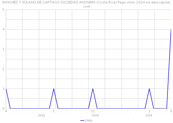 SANCHEZ Y SOLANO DE CARTAGO SOCIEDAD ANONIMA (Costa Rica) Page visits 2024 