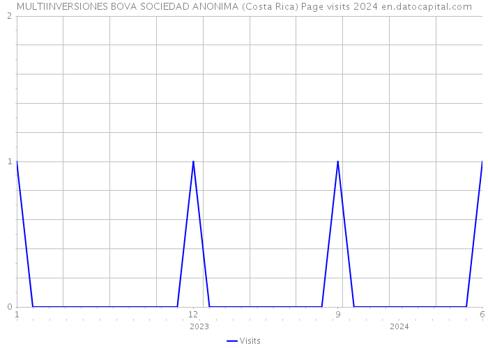 MULTIINVERSIONES BOVA SOCIEDAD ANONIMA (Costa Rica) Page visits 2024 