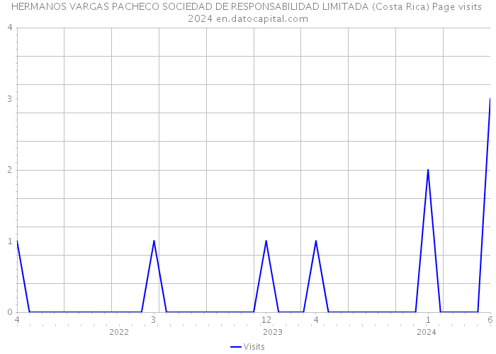 HERMANOS VARGAS PACHECO SOCIEDAD DE RESPONSABILIDAD LIMITADA (Costa Rica) Page visits 2024 