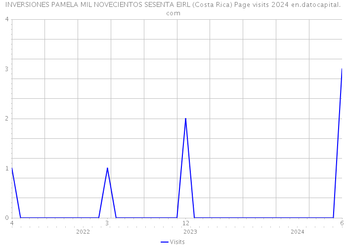 INVERSIONES PAMELA MIL NOVECIENTOS SESENTA EIRL (Costa Rica) Page visits 2024 
