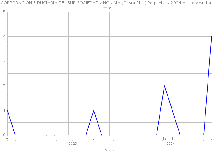 CORPORACION FIDUCIARIA DEL SUR SOCIEDAD ANONIMA (Costa Rica) Page visits 2024 