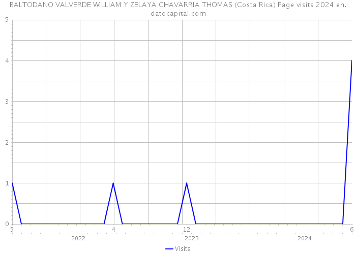 BALTODANO VALVERDE WILLIAM Y ZELAYA CHAVARRIA THOMAS (Costa Rica) Page visits 2024 