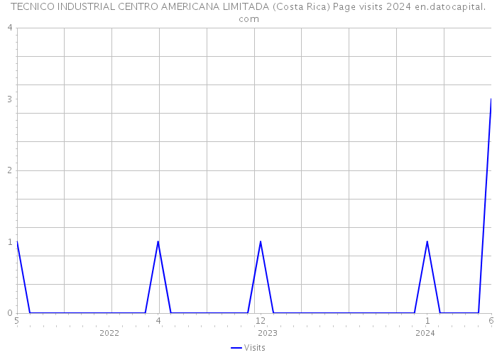 TECNICO INDUSTRIAL CENTRO AMERICANA LIMITADA (Costa Rica) Page visits 2024 