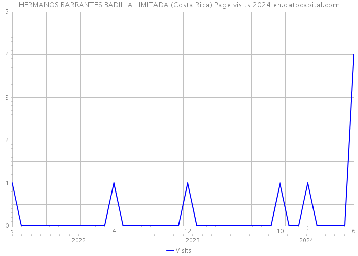 HERMANOS BARRANTES BADILLA LIMITADA (Costa Rica) Page visits 2024 