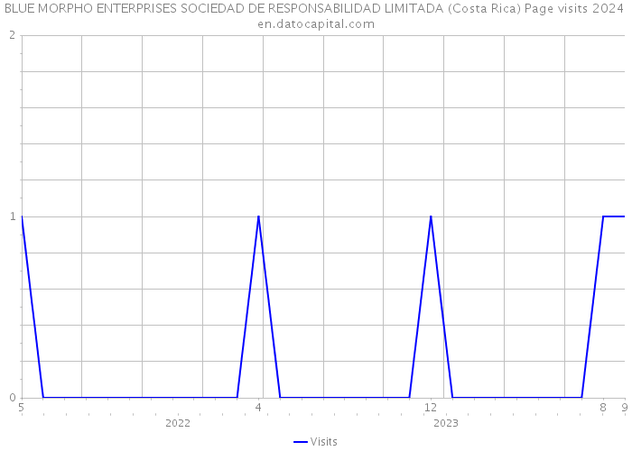 BLUE MORPHO ENTERPRISES SOCIEDAD DE RESPONSABILIDAD LIMITADA (Costa Rica) Page visits 2024 