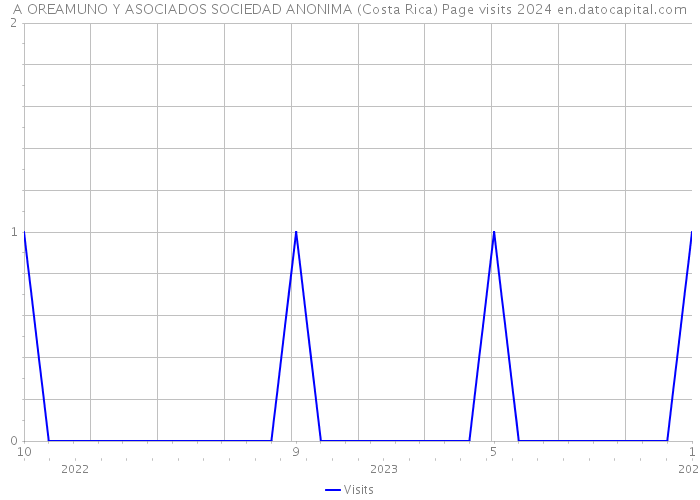 A OREAMUNO Y ASOCIADOS SOCIEDAD ANONIMA (Costa Rica) Page visits 2024 