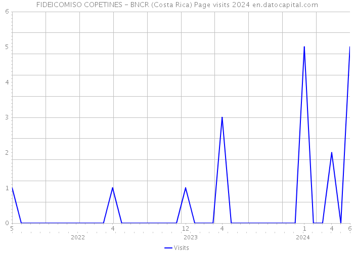 FIDEICOMISO COPETINES - BNCR (Costa Rica) Page visits 2024 