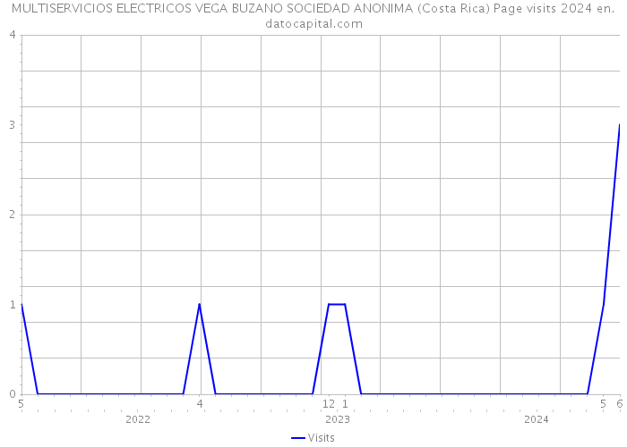 MULTISERVICIOS ELECTRICOS VEGA BUZANO SOCIEDAD ANONIMA (Costa Rica) Page visits 2024 