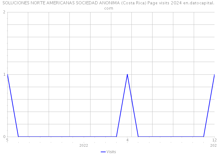 SOLUCIONES NORTE AMERICANAS SOCIEDAD ANONIMA (Costa Rica) Page visits 2024 