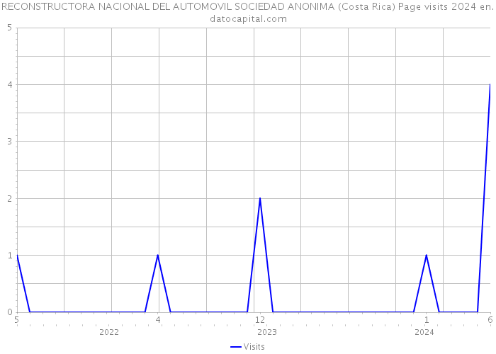 RECONSTRUCTORA NACIONAL DEL AUTOMOVIL SOCIEDAD ANONIMA (Costa Rica) Page visits 2024 