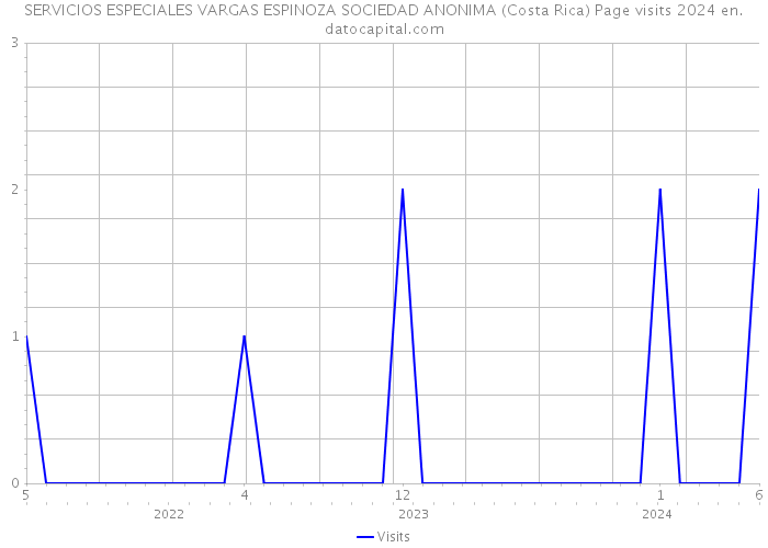 SERVICIOS ESPECIALES VARGAS ESPINOZA SOCIEDAD ANONIMA (Costa Rica) Page visits 2024 