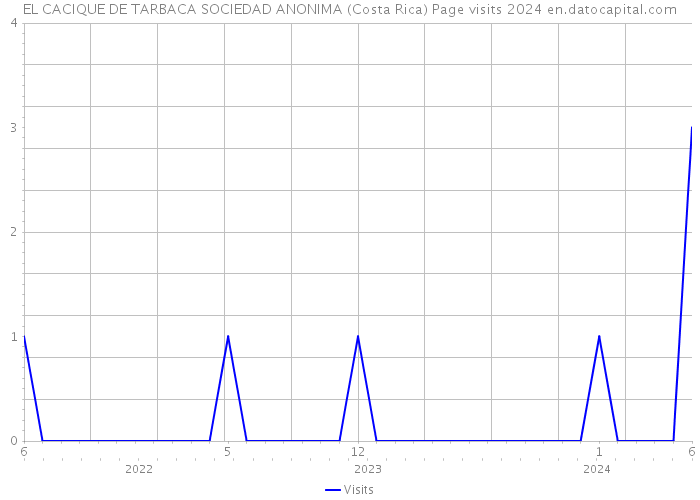 EL CACIQUE DE TARBACA SOCIEDAD ANONIMA (Costa Rica) Page visits 2024 