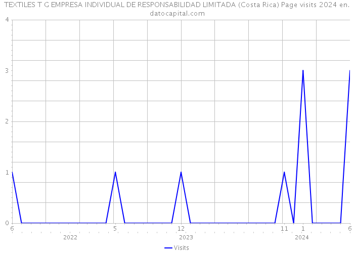 TEXTILES T G EMPRESA INDIVIDUAL DE RESPONSABILIDAD LIMITADA (Costa Rica) Page visits 2024 