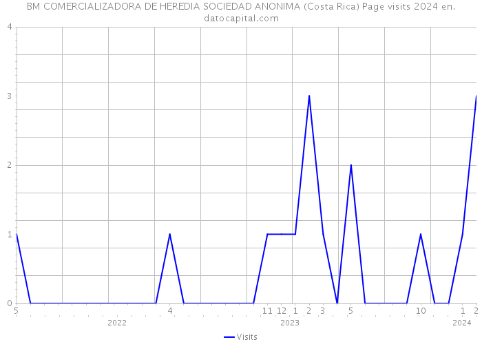 BM COMERCIALIZADORA DE HEREDIA SOCIEDAD ANONIMA (Costa Rica) Page visits 2024 