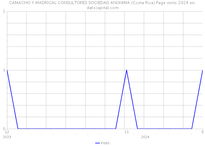 CAMACHO Y MADRIGAL CONSULTORES SOCIEDAD ANONIMA (Costa Rica) Page visits 2024 