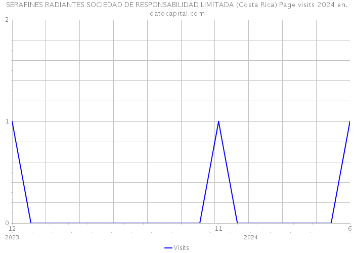 SERAFINES RADIANTES SOCIEDAD DE RESPONSABILIDAD LIMITADA (Costa Rica) Page visits 2024 