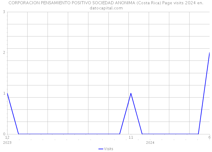 CORPORACION PENSAMIENTO POSITIVO SOCIEDAD ANONIMA (Costa Rica) Page visits 2024 