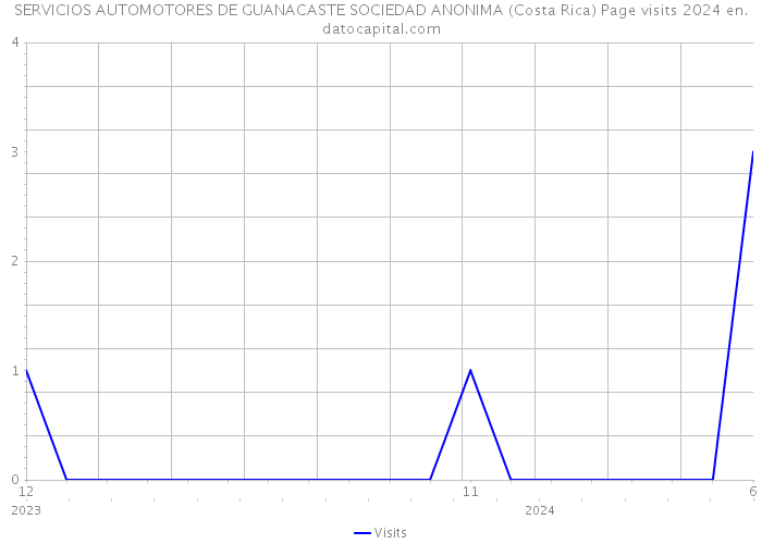SERVICIOS AUTOMOTORES DE GUANACASTE SOCIEDAD ANONIMA (Costa Rica) Page visits 2024 