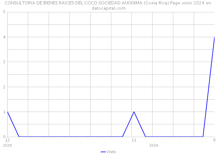 CONSULTORIA DE BIENES RAICES DEL COCO SOCIEDAD ANONIMA (Costa Rica) Page visits 2024 