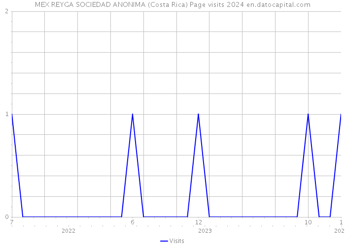 MEX REYGA SOCIEDAD ANONIMA (Costa Rica) Page visits 2024 