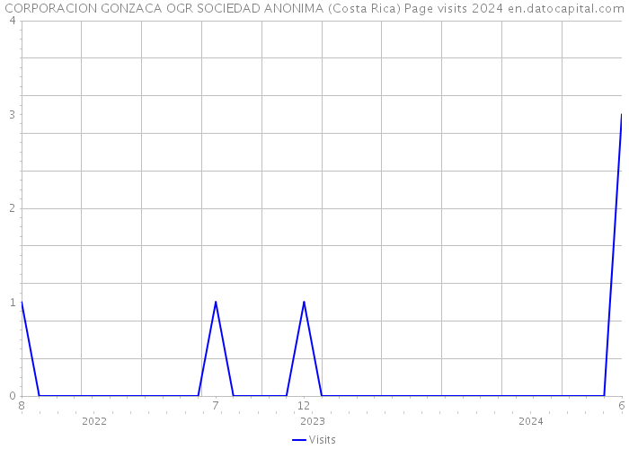 CORPORACION GONZACA OGR SOCIEDAD ANONIMA (Costa Rica) Page visits 2024 