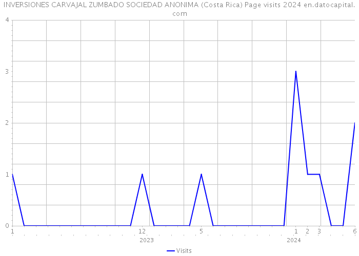 INVERSIONES CARVAJAL ZUMBADO SOCIEDAD ANONIMA (Costa Rica) Page visits 2024 