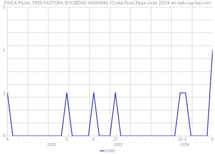 FINCA FILIAL TRES PASTORA SOCIEDAD ANONIMA (Costa Rica) Page visits 2024 
