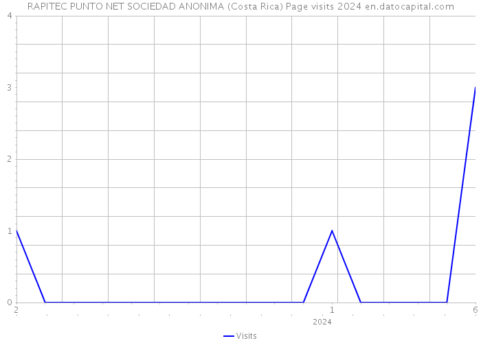 RAPITEC PUNTO NET SOCIEDAD ANONIMA (Costa Rica) Page visits 2024 