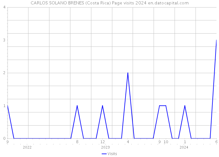CARLOS SOLANO BRENES (Costa Rica) Page visits 2024 