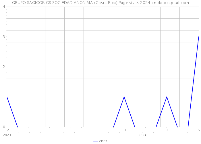 GRUPO SAGICOR GS SOCIEDAD ANONIMA (Costa Rica) Page visits 2024 