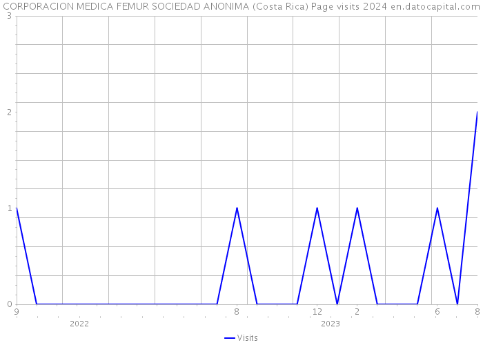 CORPORACION MEDICA FEMUR SOCIEDAD ANONIMA (Costa Rica) Page visits 2024 