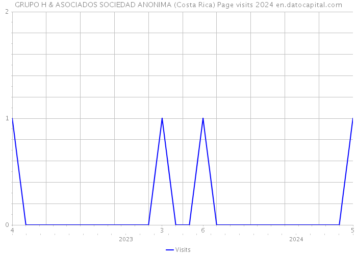 GRUPO H & ASOCIADOS SOCIEDAD ANONIMA (Costa Rica) Page visits 2024 
