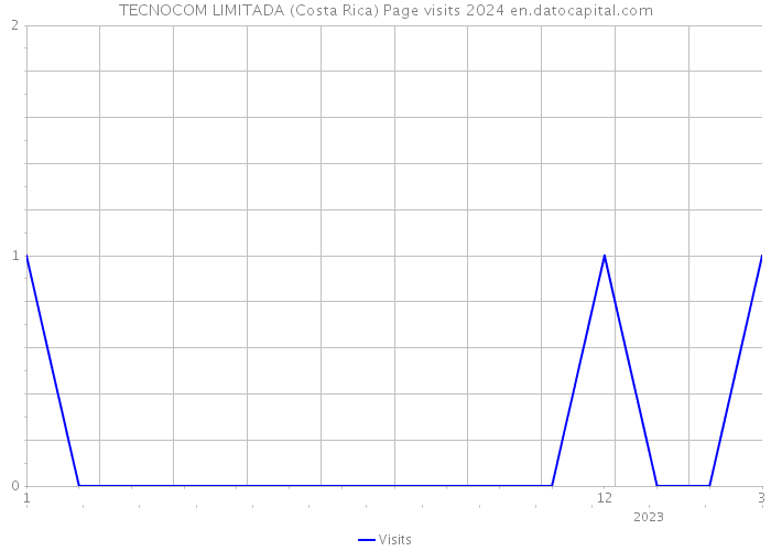 TECNOCOM LIMITADA (Costa Rica) Page visits 2024 