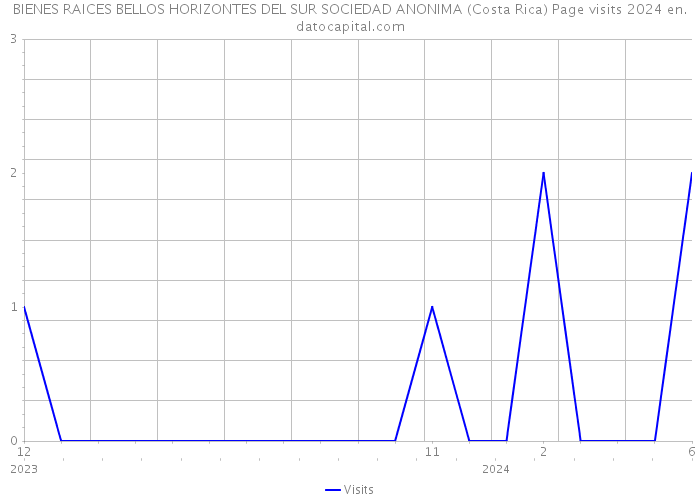 BIENES RAICES BELLOS HORIZONTES DEL SUR SOCIEDAD ANONIMA (Costa Rica) Page visits 2024 