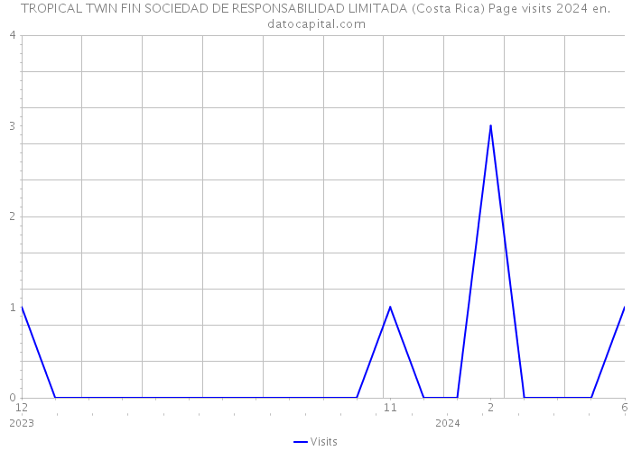 TROPICAL TWIN FIN SOCIEDAD DE RESPONSABILIDAD LIMITADA (Costa Rica) Page visits 2024 