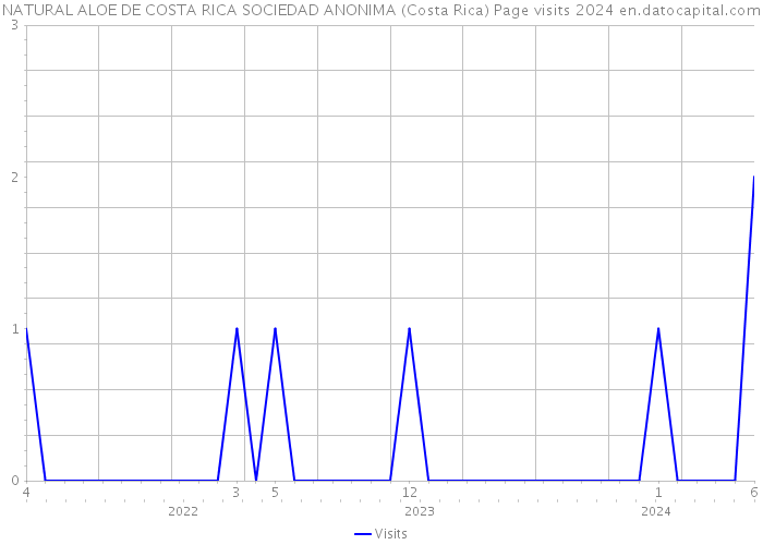 NATURAL ALOE DE COSTA RICA SOCIEDAD ANONIMA (Costa Rica) Page visits 2024 