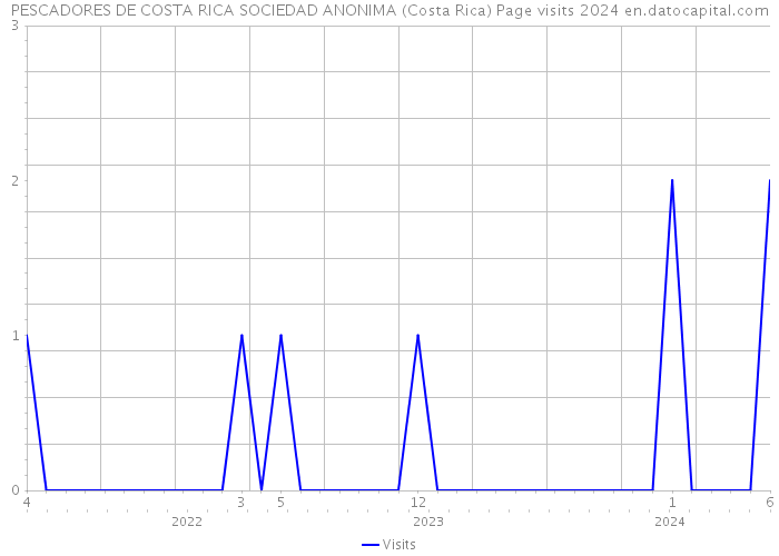 PESCADORES DE COSTA RICA SOCIEDAD ANONIMA (Costa Rica) Page visits 2024 
