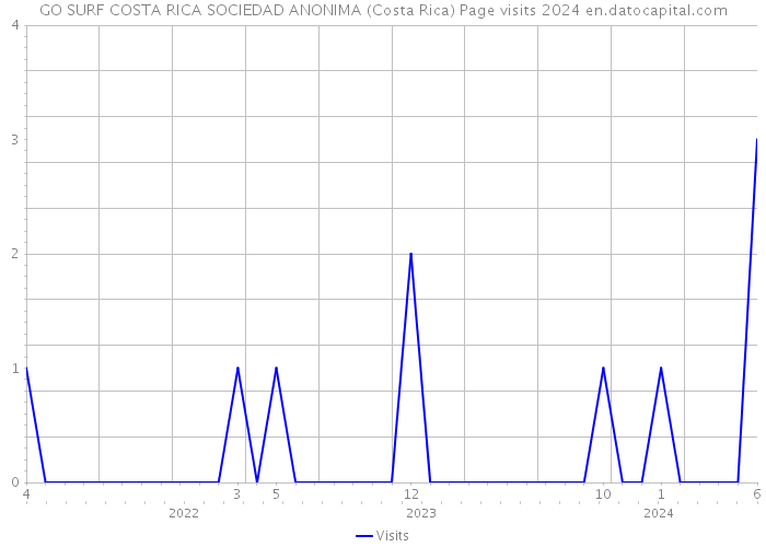 GO SURF COSTA RICA SOCIEDAD ANONIMA (Costa Rica) Page visits 2024 