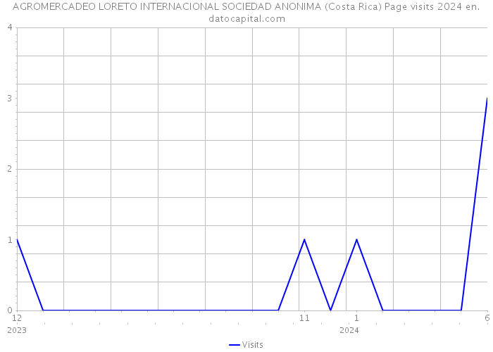 AGROMERCADEO LORETO INTERNACIONAL SOCIEDAD ANONIMA (Costa Rica) Page visits 2024 